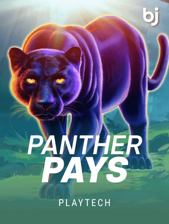 Panther Payspng screenshot